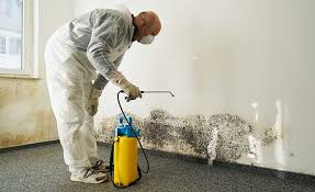 Environmental Consulting for Mold Prevention in East Sonora, CA